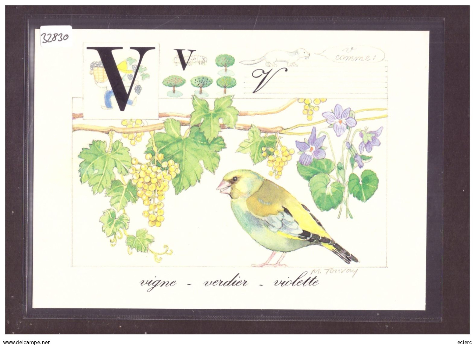 FORMAT 10x15cm - L'ALPHABET DE LA NATURE - TB - Collections & Lots