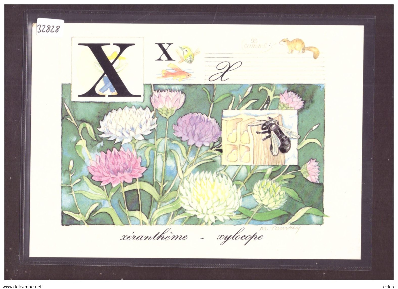 FORMAT 10x15cm - L'ALPHABET DE LA NATURE - TB - Collections & Lots