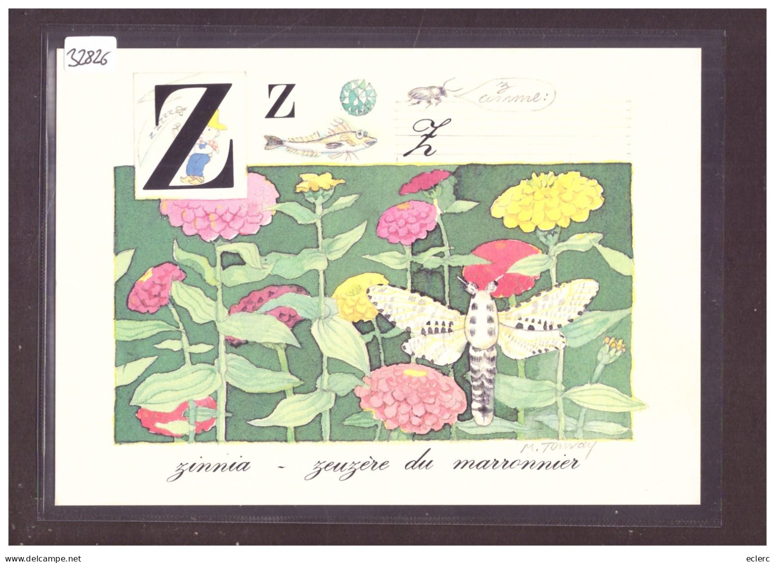 FORMAT 10x15cm - L'ALPHABET DE LA NATURE - TB - Collections & Lots