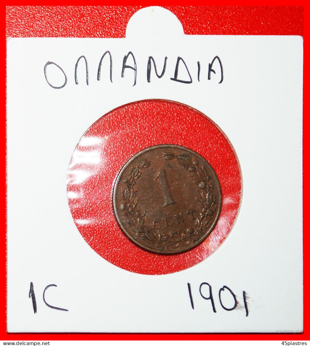 * RAMPANT LION ERROR: NETHERLANDS  1 CENT 1901! WILHELMINA (1890-1948) IN HOLDER!· LOW START · NO RESERVE! - 1 Cent