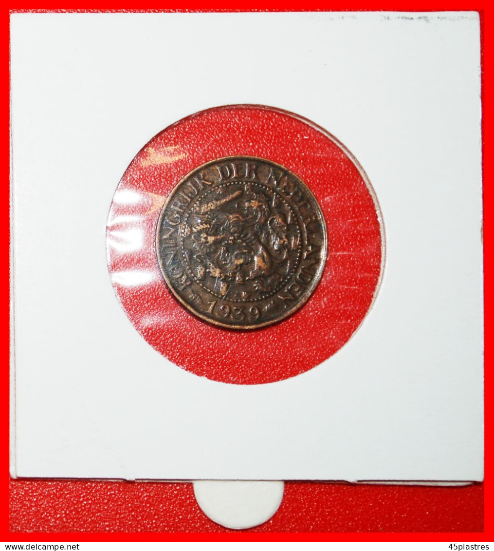 * RAMPANT LION (1913-1941): NETHERLANDS  1 CENT 1939! WILHELMINA (1890-1948) IN HOLDER! · LOW START · NO RESERVE! - 1 Cent