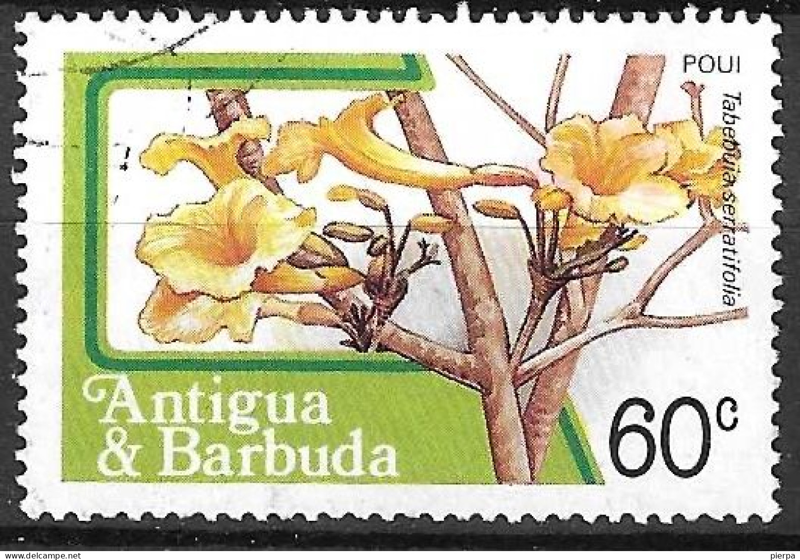 ANTIGUA  - 1983 - FRUTTI - TABEBUIA SERRATIFOLIA - 60C - USATO (YVERT 713 - MICHEL 731A) - Antigua And Barbuda (1981-...)