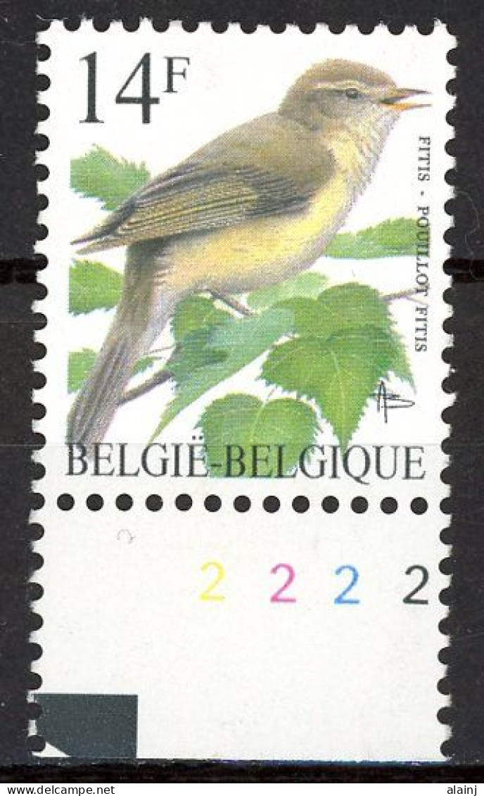 BE   2623    XX    ----    Oiseau Buzin :  Pouillot Fitis  --  N° De Planche 2 - 1991-2000