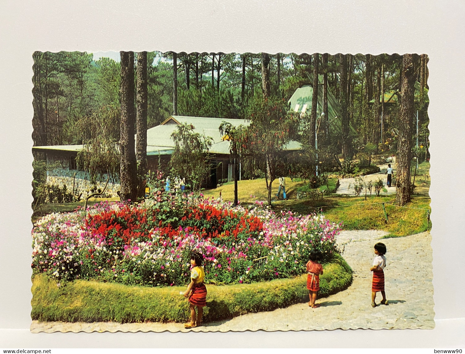 Baguio Flowers At Imelda's Park Baguio City PHILIPPINES Postcard - Filipinas