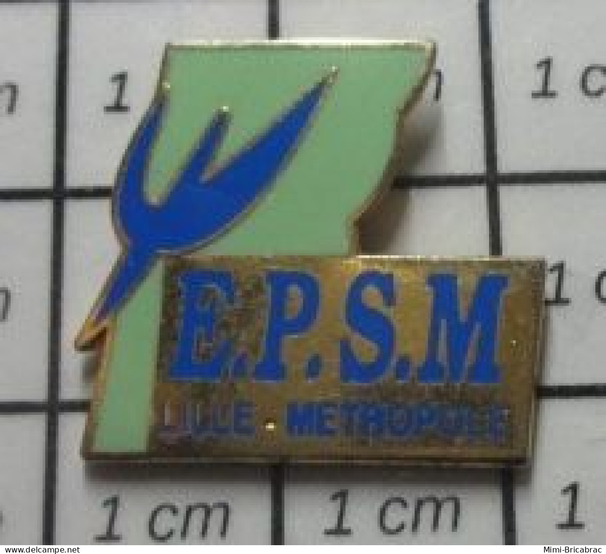 713M Pin's Pins / Beau Et Rare / MEDICAL / EPSM LILLE METROPOLE SANTE MENTALE - Geneeskunde