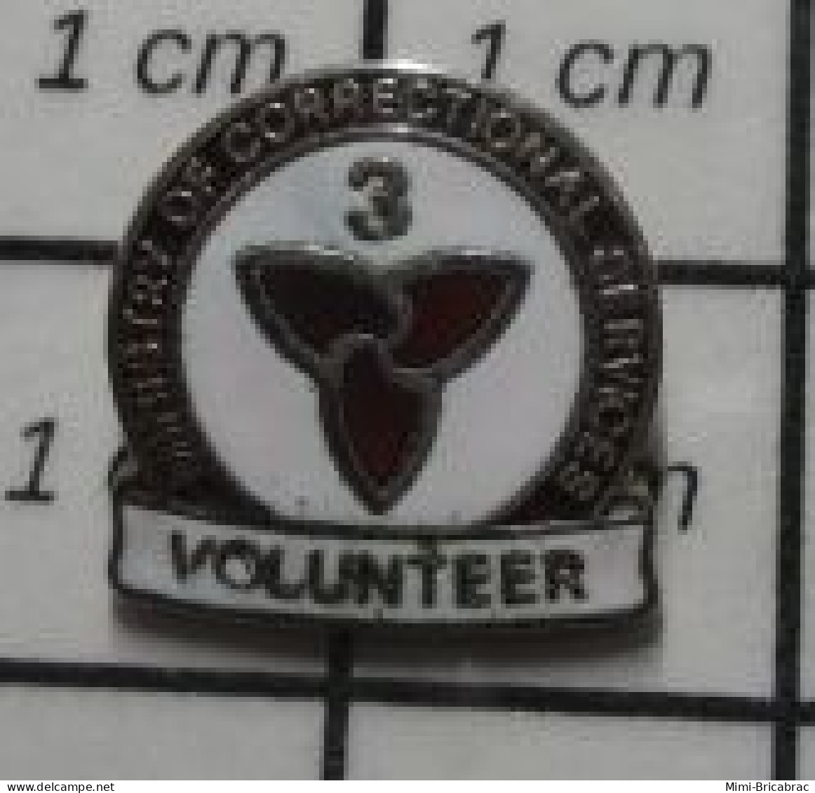 1012B Pin's Pins / Beau Et Rare / ADMINISTRATIONS / Pin's USA MINISTRY OF CORRECTIONNAL SERVICES VOLUNTEER - Administration