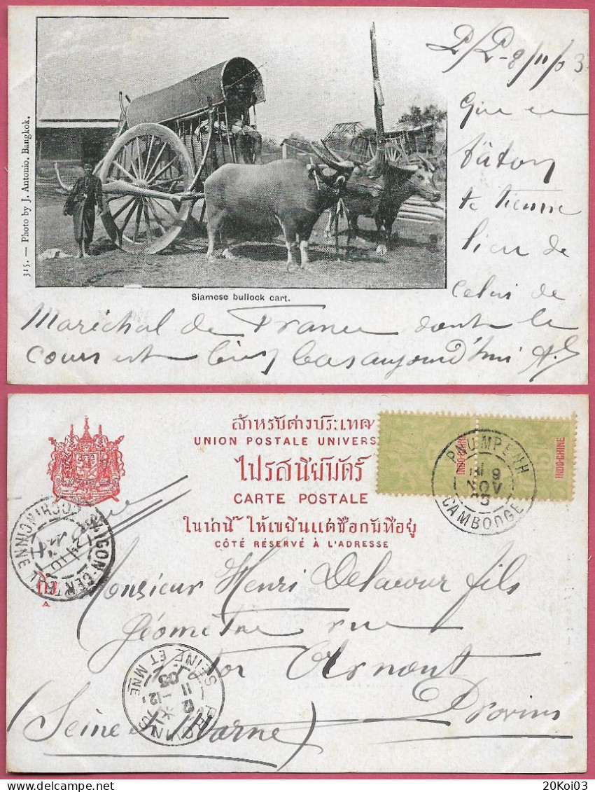 Siamise Bullock Cart 1903 Siam Thailand_n° 315_by J. Antonio. Bangkok_Old Vintage Stamp 1905 CPA_Collection_cpc - Tailandia