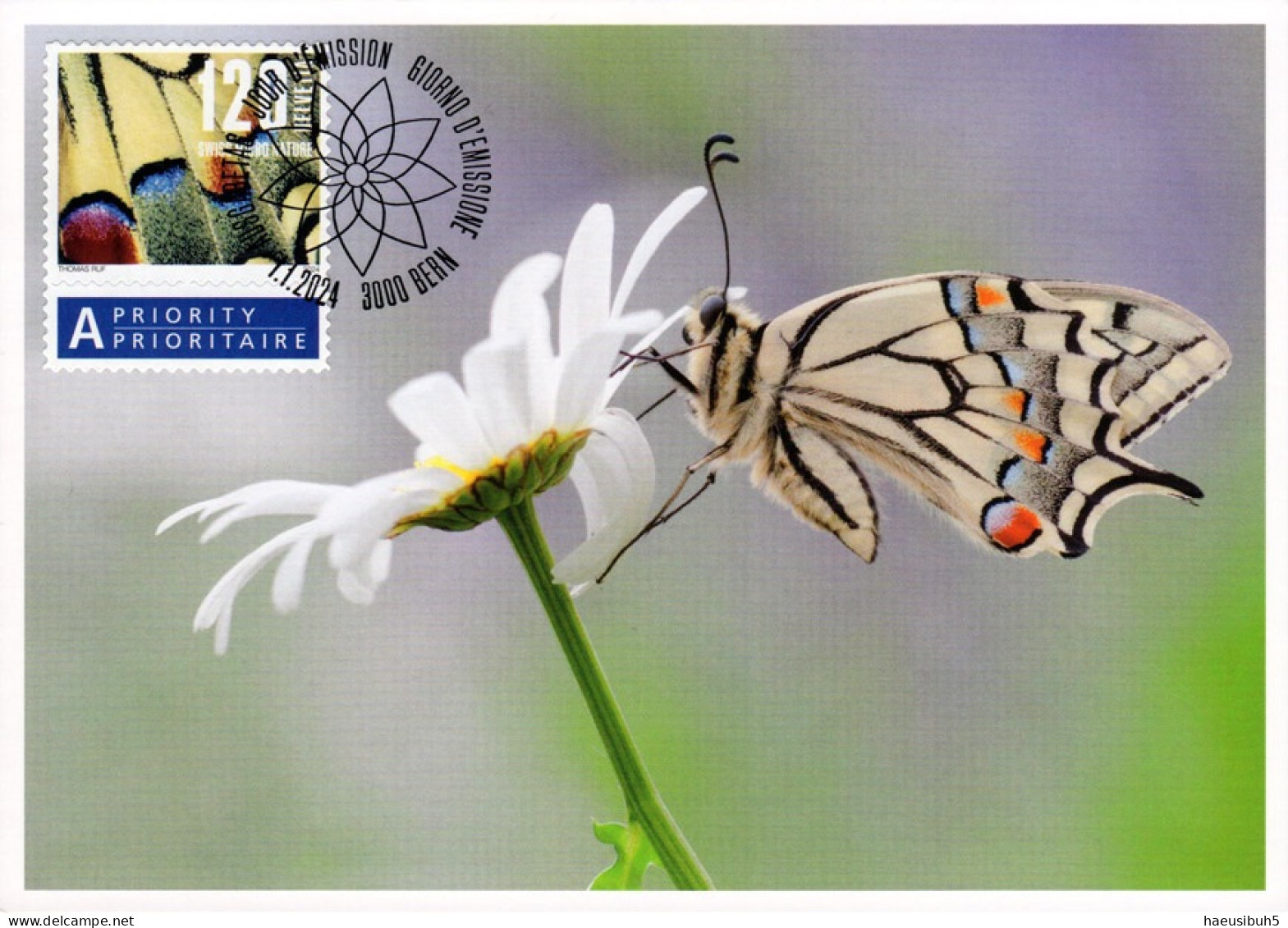 Maximumkarte 2024 Naturmuster - Schmetterling - Cartes-Maximum (CM)