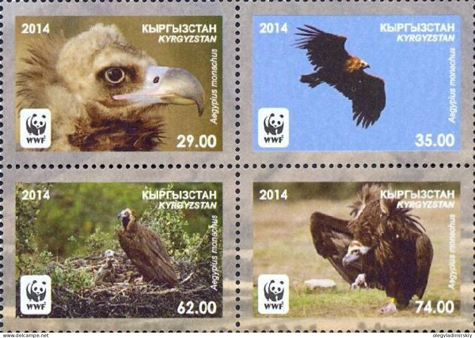 Kyrgyzstan 2014 WWF Black Vulture Aegypius Monachus Set Of 4 Stamps In Block 2x2 MNH - Aigles & Rapaces Diurnes