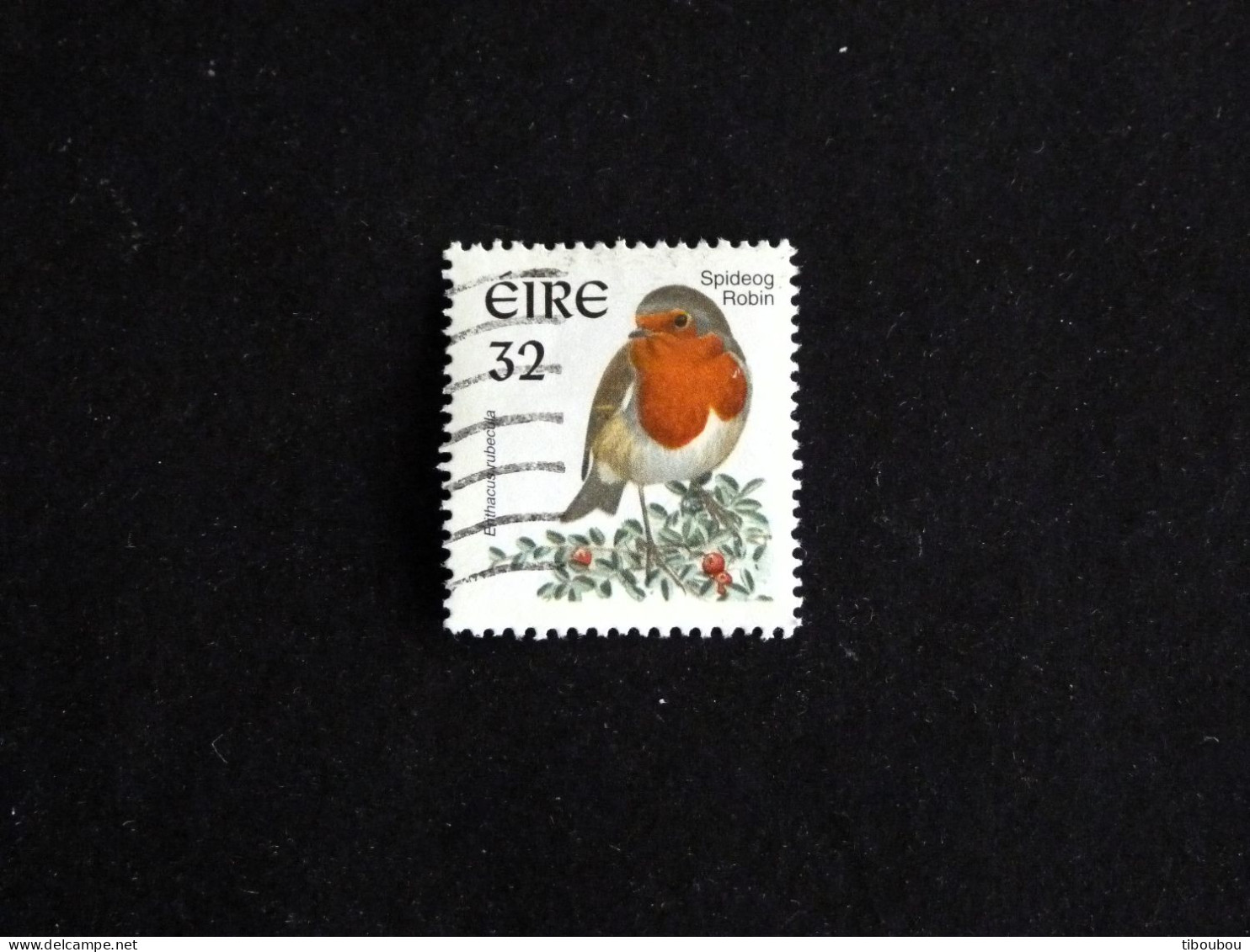 IRLANDE IRELAND EIRE YT 980c OBLITERE - ROUGE GORGE OISEAU BIRD VOGEL - Oblitérés