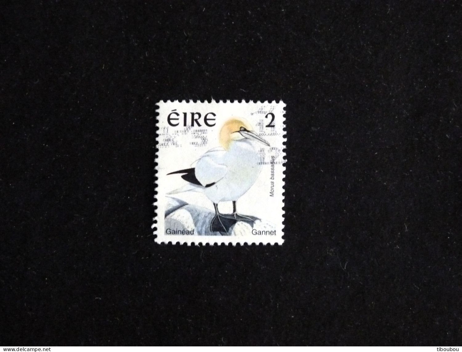 IRLANDE IRELAND EIRE YT 1022 OBLITERE - FOU DE BASSAN OISEAU BIRD VOGEL - Gebruikt