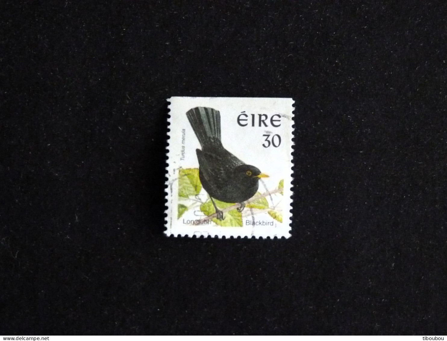 IRLANDE IRELAND EIRE YT 1058a OBLITERE - MERLE OISEAU BIRD VOGEL - Gebraucht