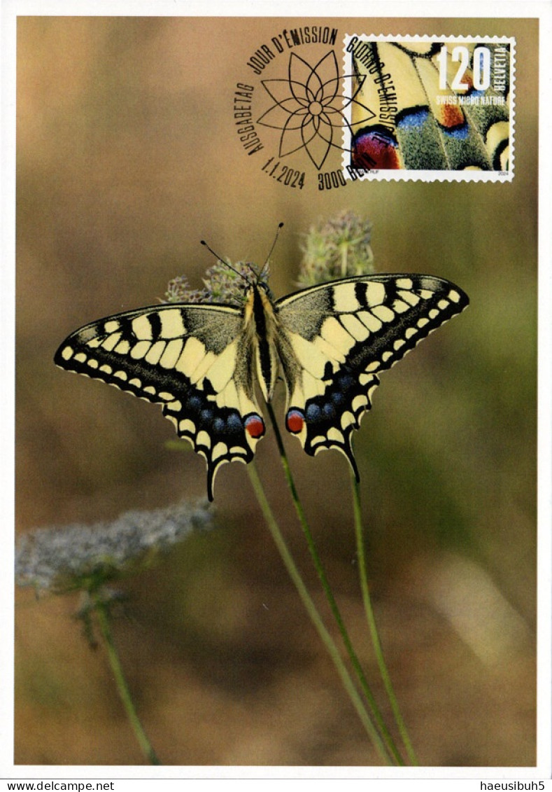 Maximumkarte 2024 Naturmuster - Schmetterling - Maximumkarten (MC)