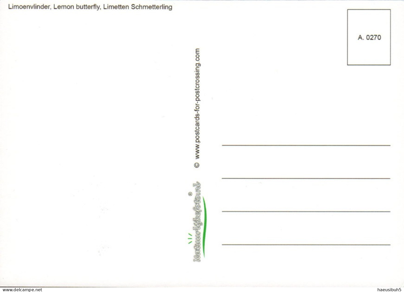 Maximumkarte 2024 Naturmuster - Schmetterling - Maximum Cards