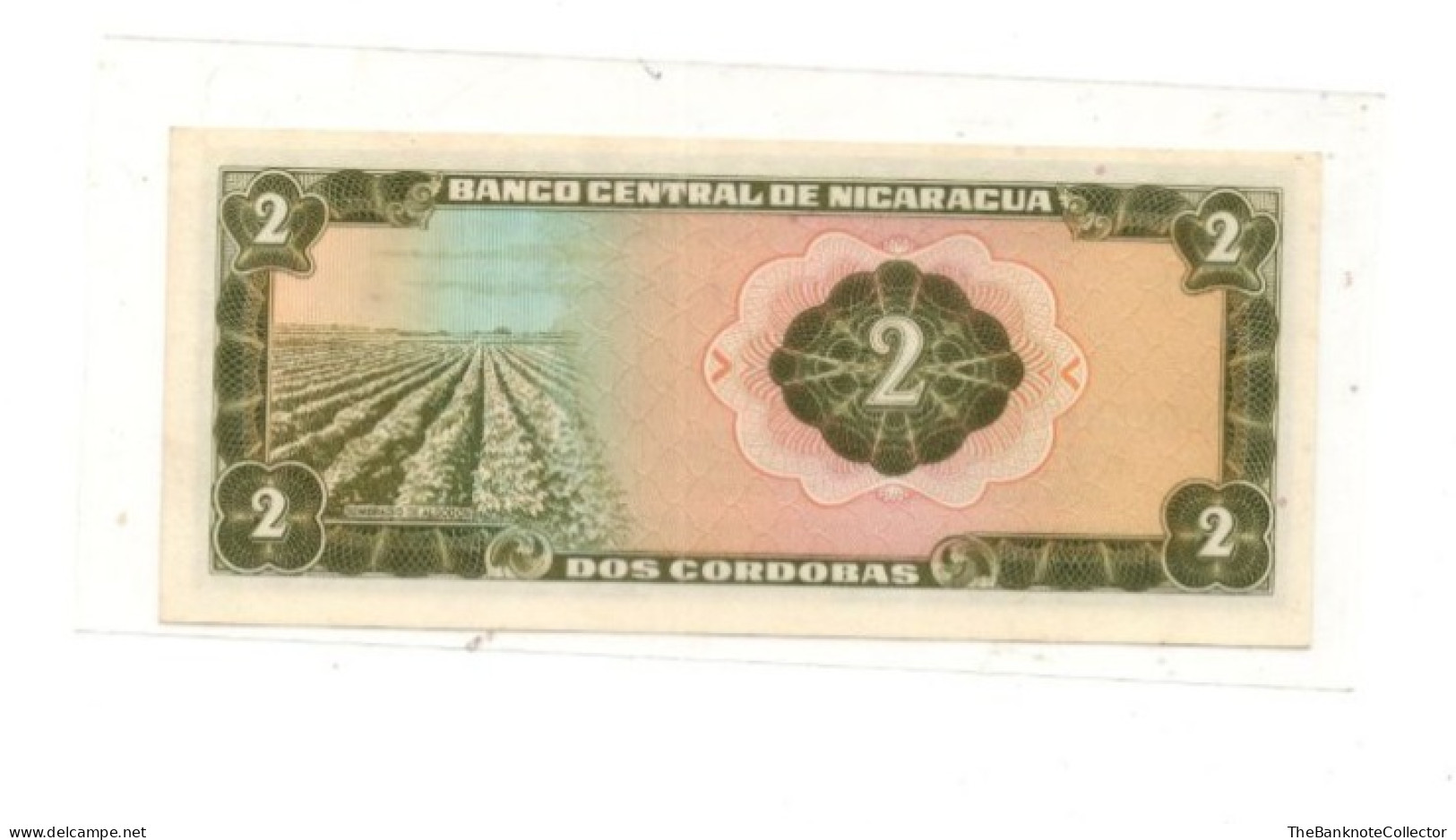 Nicaragua 2 Cordobas Serie C 1972 P-121 UNC - Nicaragua