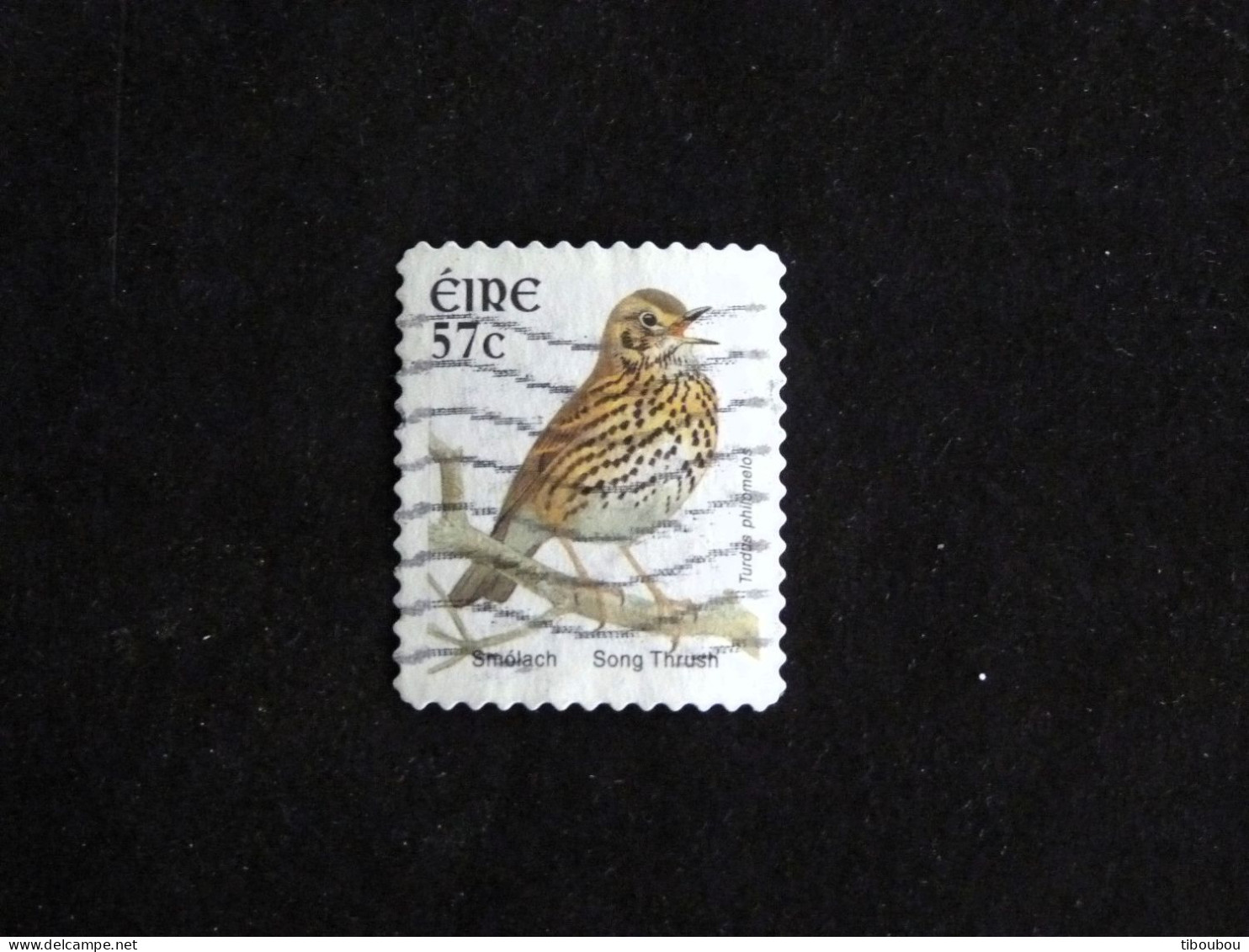 IRLANDE IRELAND EIRE YT 1439 OBLITERE - GRIVE MUSICIENNE OISEAU BIRD VOGEL - Used Stamps