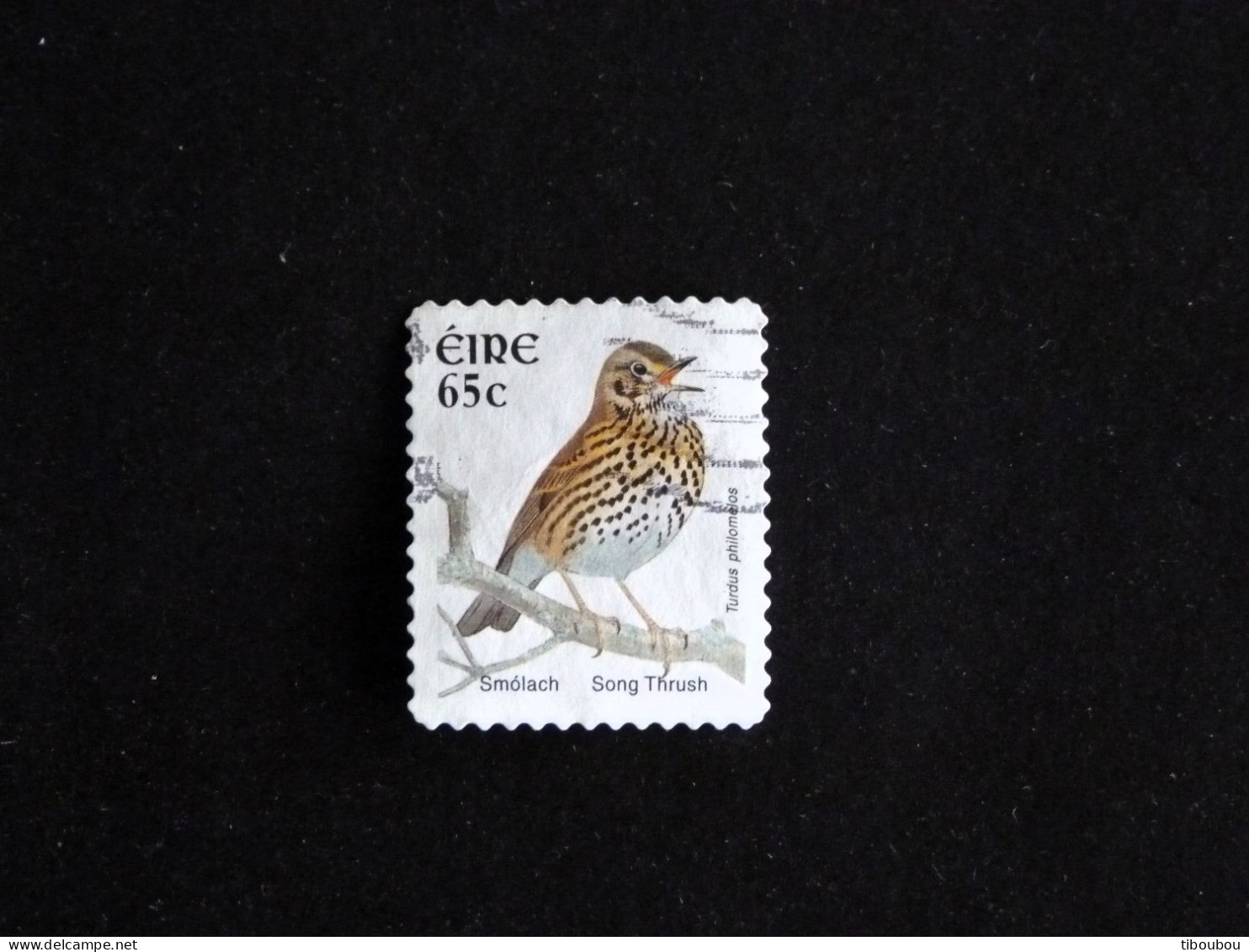 IRLANDE IRELAND EIRE YT 1562 OBLITERE - GRIVE MUSICIENNE OISEAU BIRD VOGEL - Gebruikt