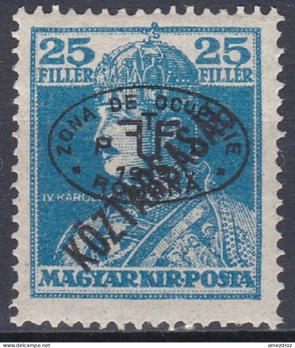 Hongrie Debrecen 1919 Mi 59b * Roi Charles IV (A12) - Debreczen