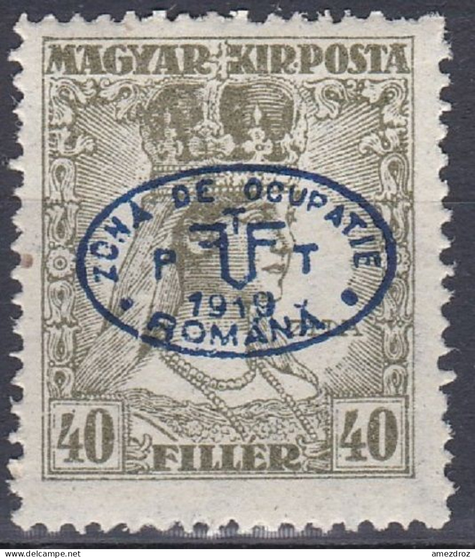 Hongrie Debrecen 1919 Mi 60 * Reine Zita  (A12) - Debrecen