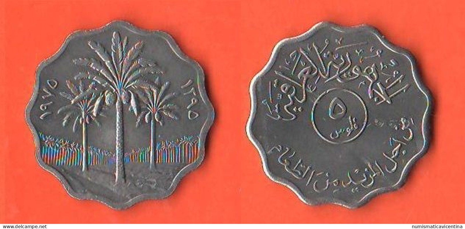 Iraq 5 Fils 1975 FAO Steel Typological Asian Coin - Irak