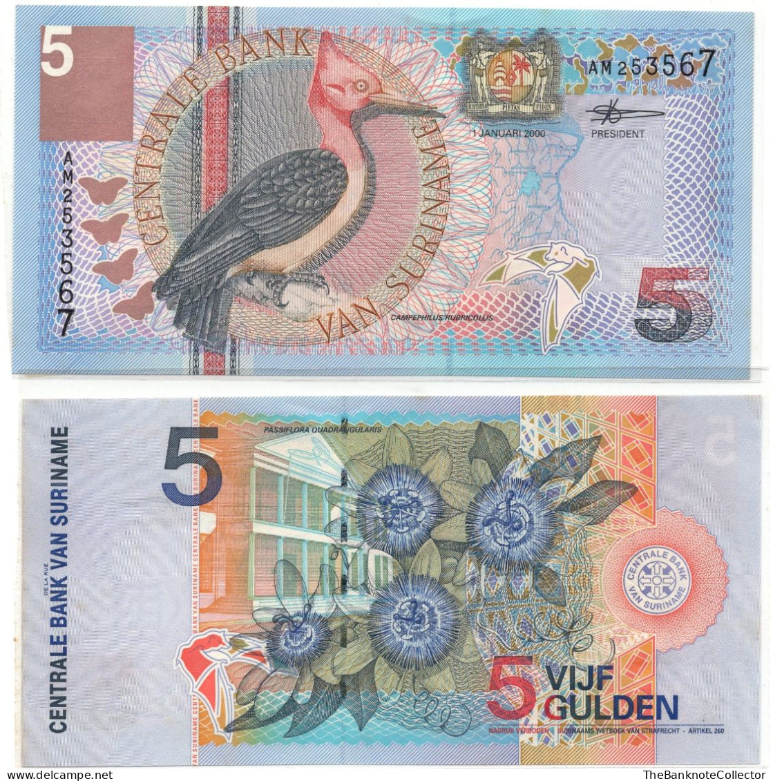 Surinam 5 Gulden 2000 P-146 UNC - Suriname