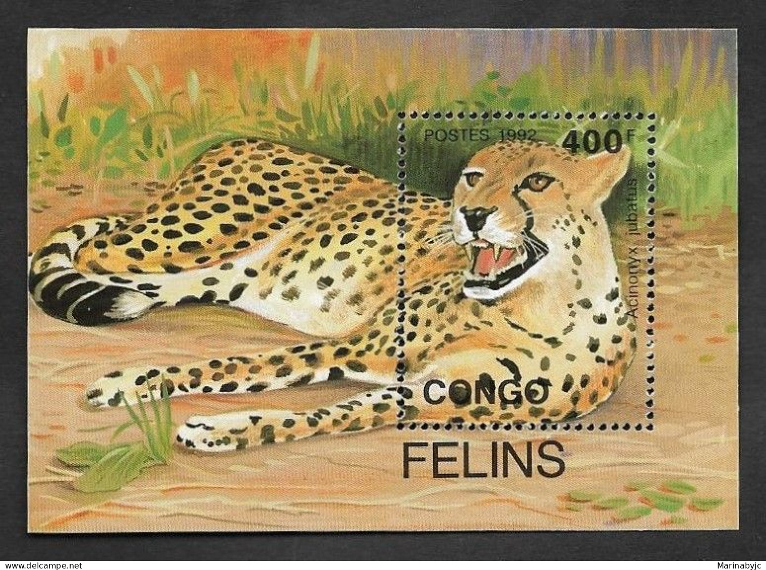 SE)1992 CONGO  FAUNA OF AFRICA, BIG CATS, CHEETAH, SOUVENIR SHEET MNH - Andere & Zonder Classificatie