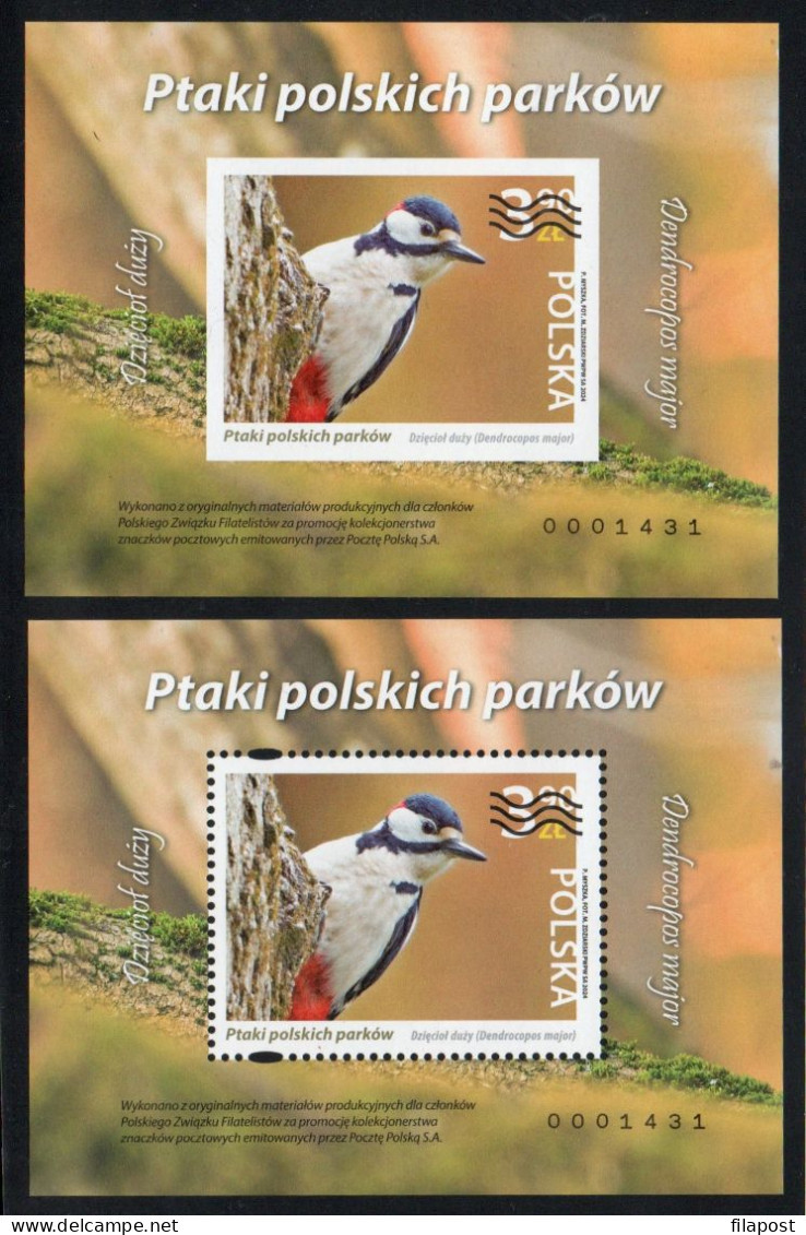 Poland 2024 Birds Of Polish Parks Two Blocks Full  Of Set Polish Post MNH** New!!! - Blocs & Feuillets