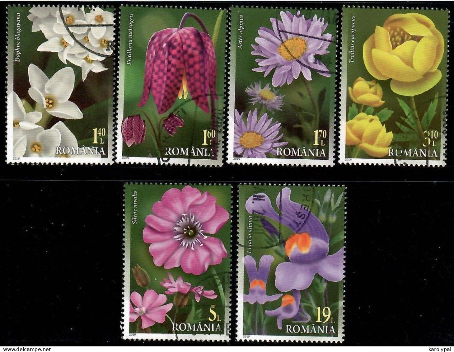 Romania, 2019 CTO, Mi. Nr.7583-8, Flowers - Used Stamps