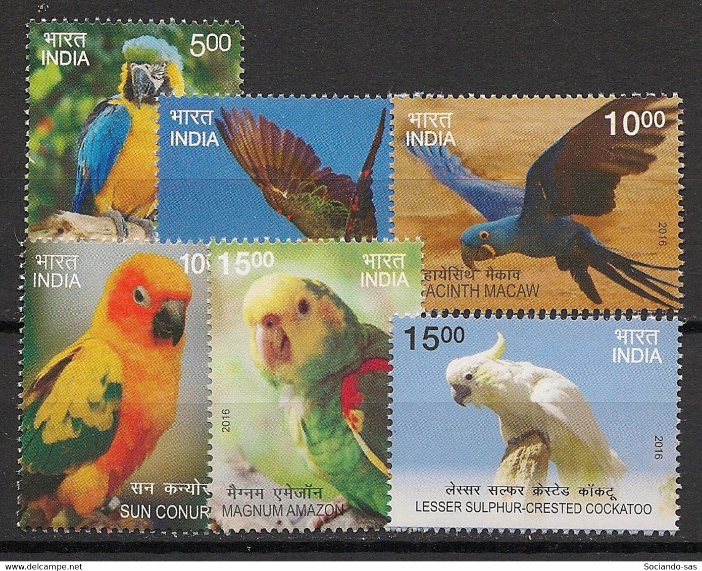 INDIA - 2016 - N°YT. 2732 à 2737 - Oiseaux / Perroquets / Parrots / Tropical Birds - Neuf Luxe ** / MNH / Postfrisch - Perroquets & Tropicaux