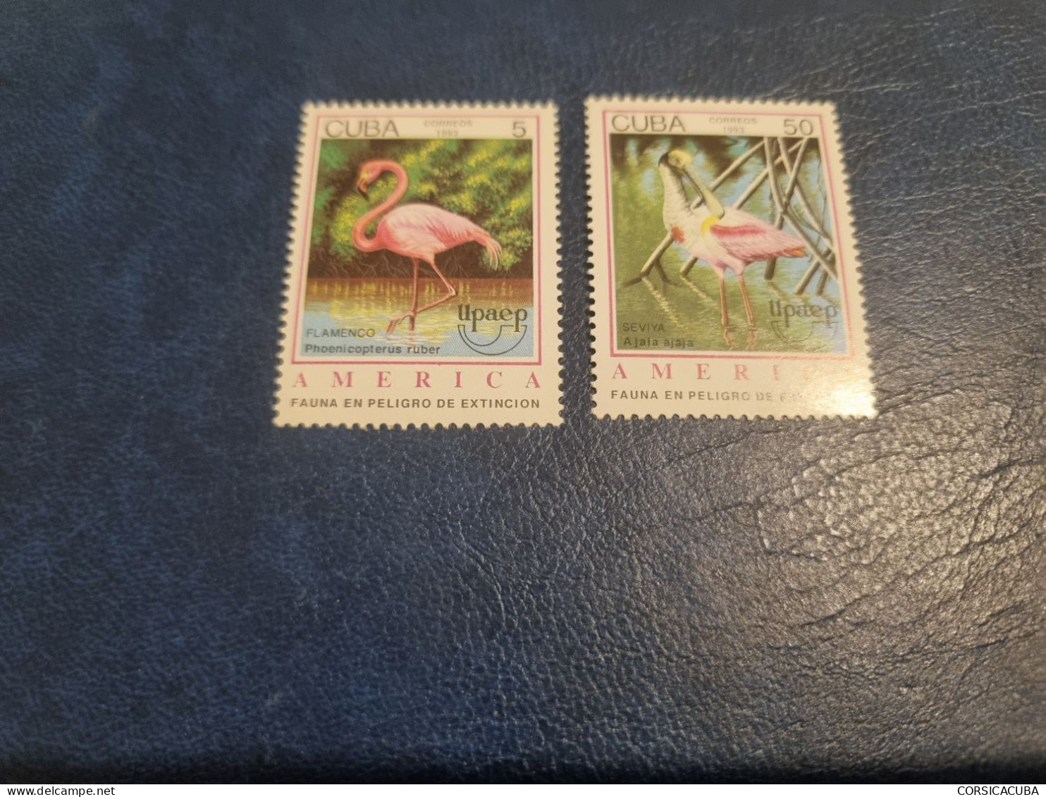 CUBA  NEUF  1993   AMERICA  UPAEP     //  PARFAIT  ETAT  //  1er  CHOIX  // - Unused Stamps
