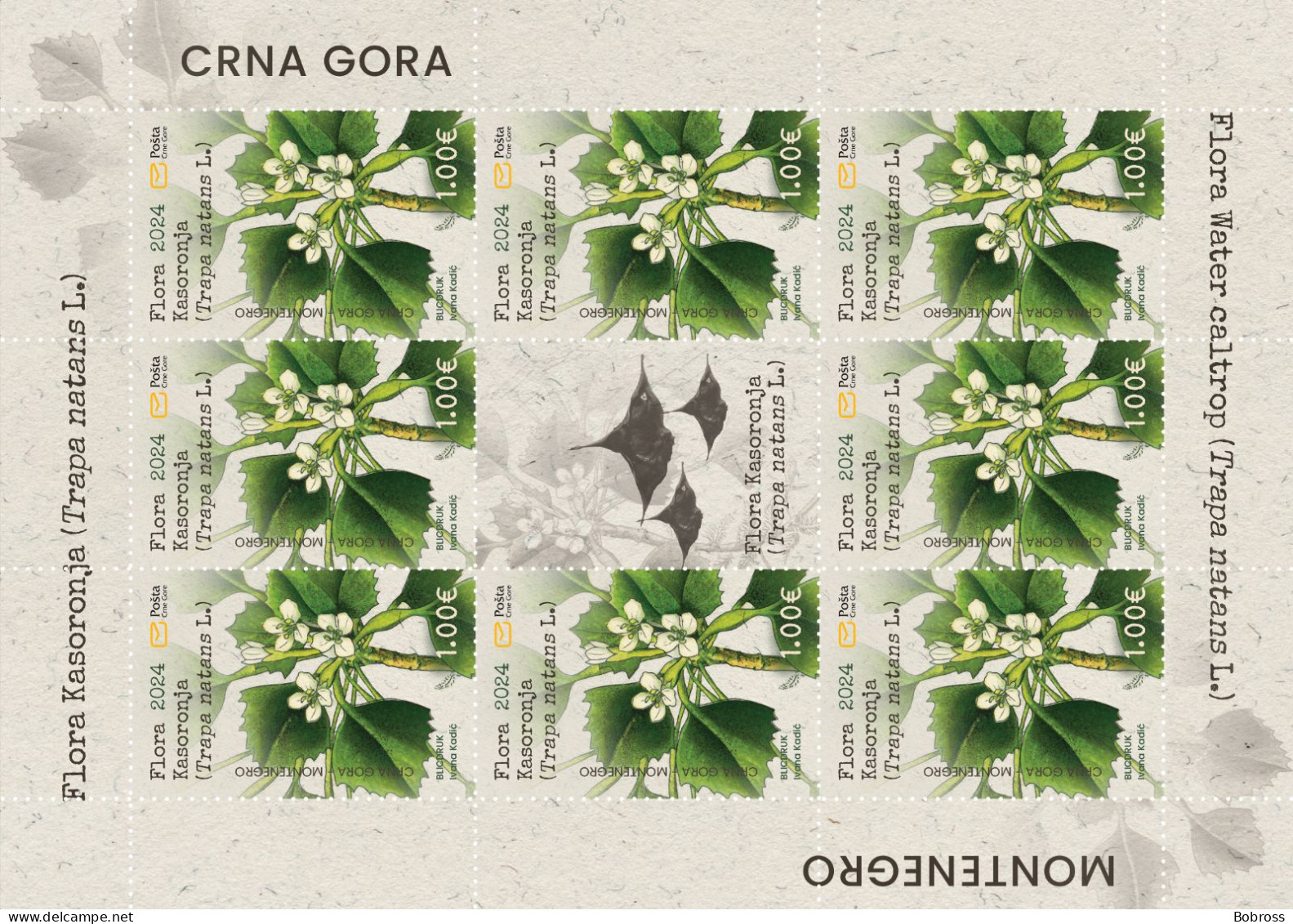 2024 Flora Of Kasoronja (Trapa Natans L.), Montenegro, MNH - Montenegro
