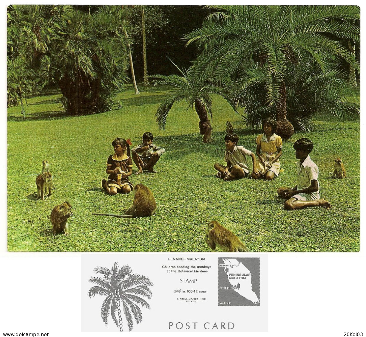 Malaysia Penang Botanical Garden, Children Feeding Monkeys +/-1975's_UNC_KRUGER. 88_100.42_267179_S. ABDUL MAJEED+CO_cpc - Maleisië