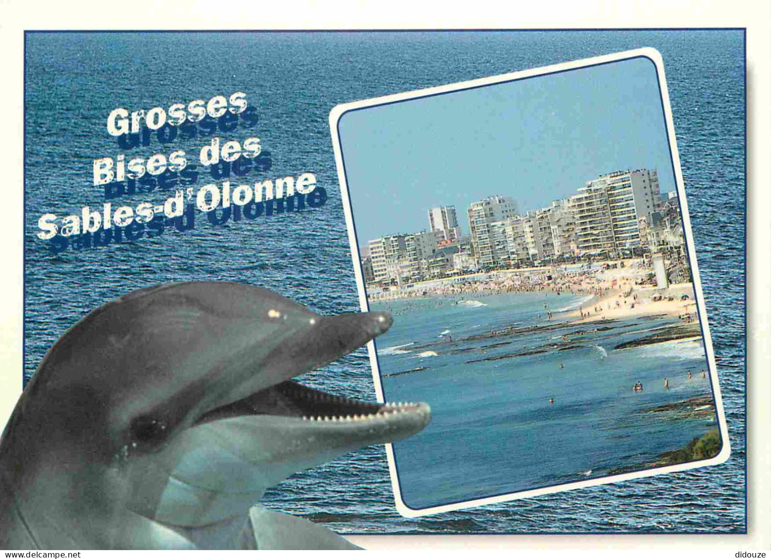 Animaux - Dauphin - Dolphin - Les Sables D'Olonne - CPM - Voir Scans Recto-Verso - Dolfijnen