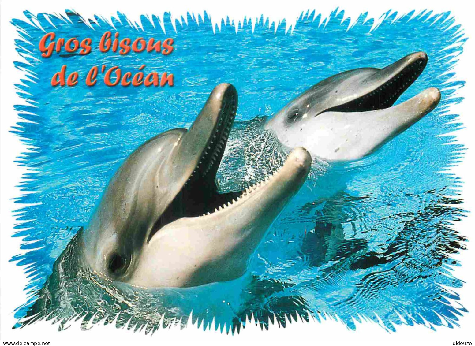 Animaux - Dauphin - Dolphin - Carte à Message - CPM - Carte Neuve - Voir Scans Recto-Verso - Dolfijnen