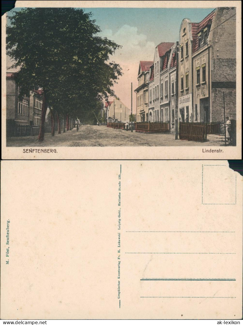 Ansichtskarte Senftenberg (Niederlausitz) Lindenstraße (coloriert) 1928 - Senftenberg