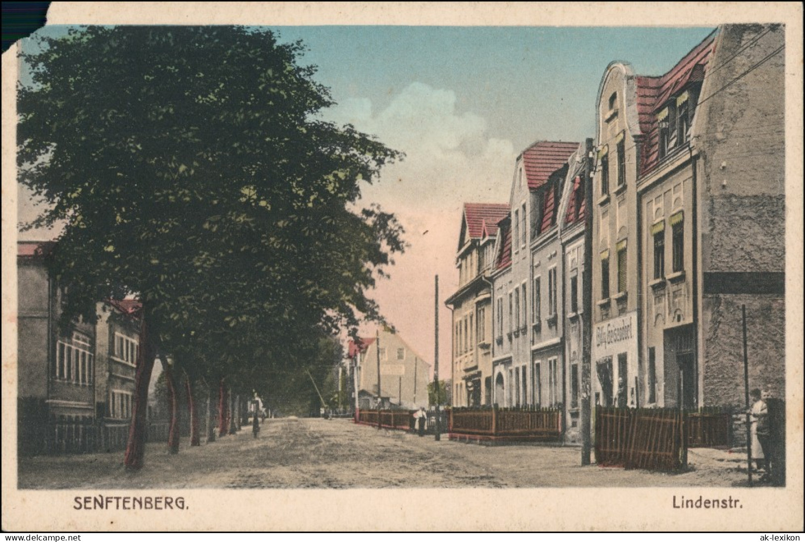 Ansichtskarte Senftenberg (Niederlausitz) Lindenstraße (coloriert) 1928 - Senftenberg