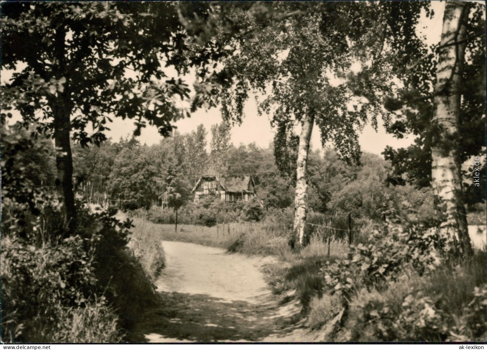 Ansichtskarte Schmannewitz-Dahlen Weg Zur Försterei Und Zum Alten Teich 1968 - Dahlen