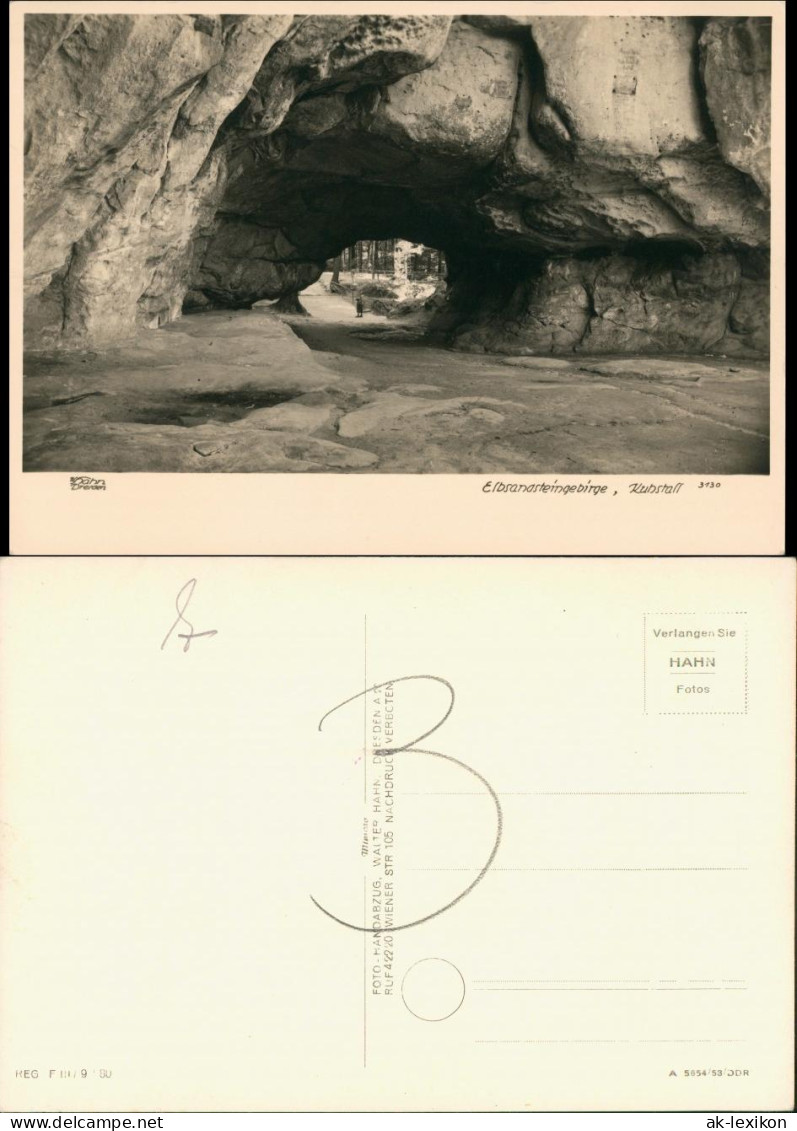 Kirnitzschtal-Sebnitz Kuhstall Sächsische Schweiz 1953 Walter Hahn:3130 - Kirnitzschtal