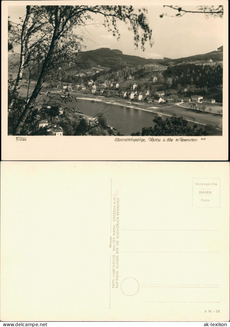 Ansichtskarte Pötzscha-Wehlen Totale Rauenstein 1954 Walter Hahn:8557 - Wehlen