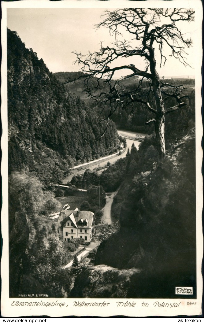 Polenz-Neustadt (Sachsen) Waltersdorfer Mühle Blick Auf 1940 Walter Hahn:2607 - Neustadt