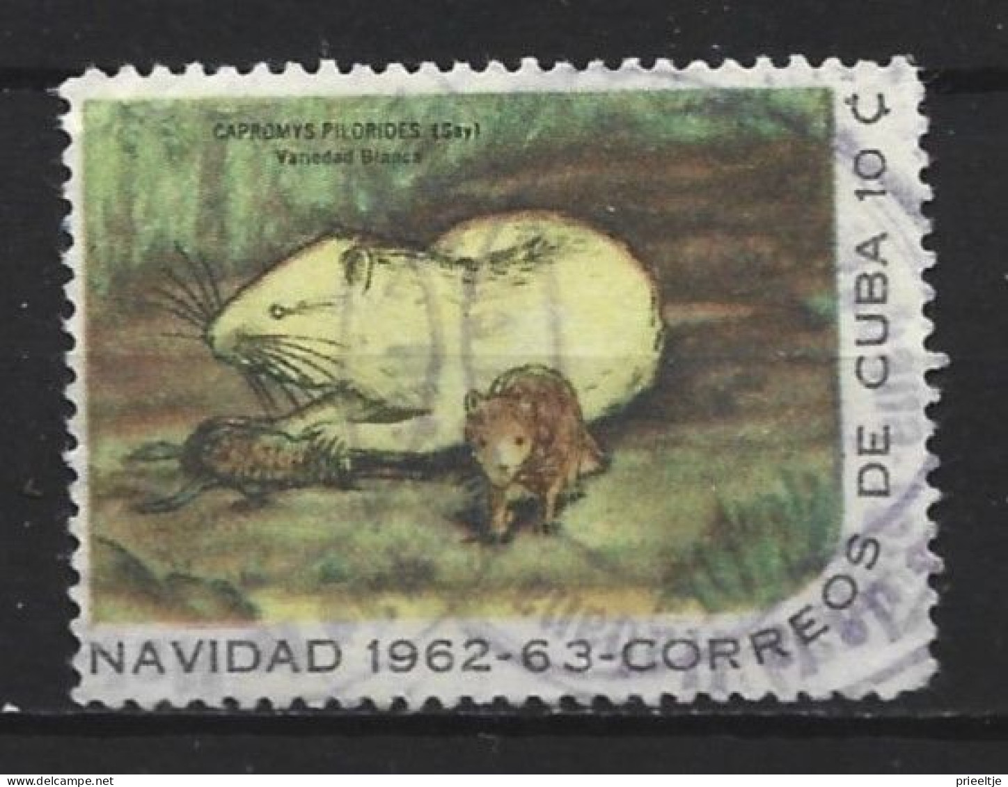Cuba 1962 Fauna Y.T. 654 (0) - Oblitérés