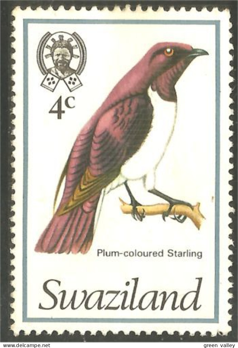 844 Swaziland Oiseau Bird Vogel Uccello Plum Starling Étourneau Storno (SWZ-33d) - Swaziland (1968-...)