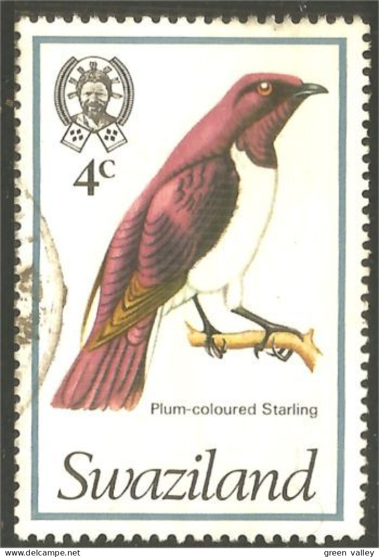 844 Swaziland Oiseau Bird Vogel Uccello Plum Starling Étourneau Storno (SWZ-33b) - Swaziland (1968-...)
