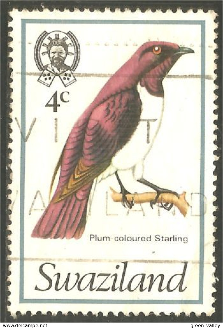 844 Swaziland Oiseau Bird Vogel Uccello Plum Starling Étourneau Storno (SWZ-33c) - Swaziland (1968-...)