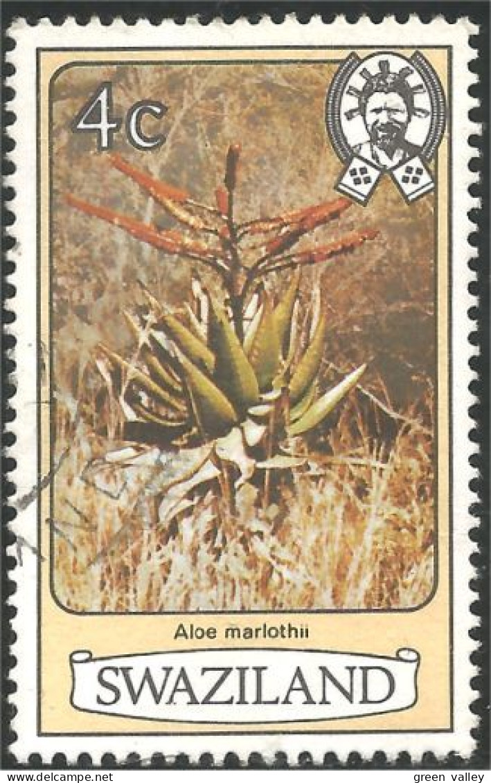 844 Swaziland Fleur Flower Blume Aloe Marlothii Aloes (SWZ-29d) - Otros & Sin Clasificación