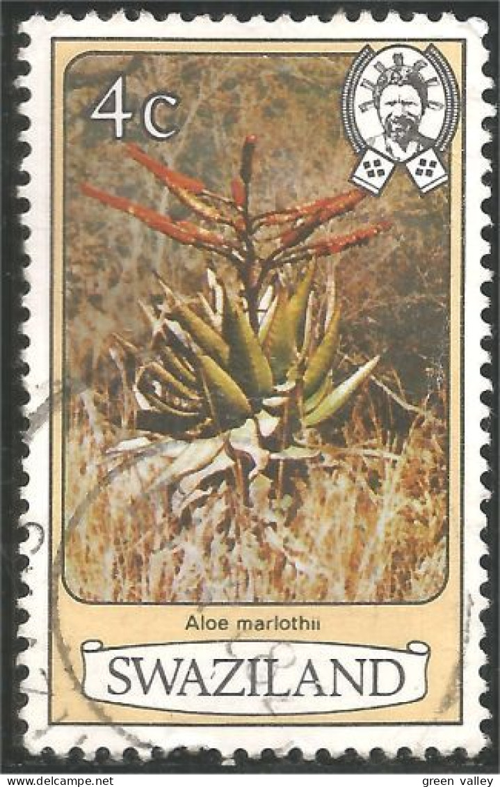 844 Swaziland Fleur Flower Blume Aloe Marlothii Aloes (SWZ-29b) - Swaziland (1968-...)