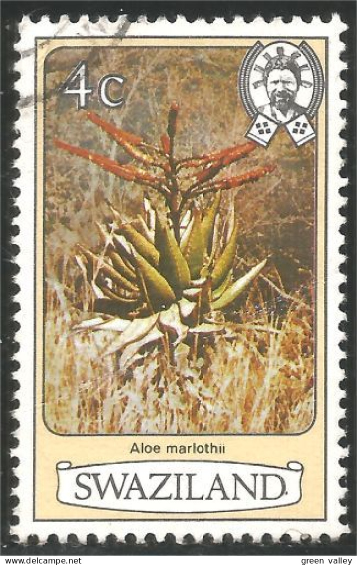 844 Swaziland Fleur Flower Blume Aloe Marlothii Aloes (SWZ-29a) - Swaziland (1968-...)