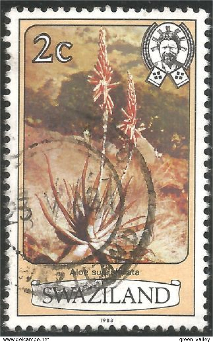 844 Swaziland Fleur Flower Blume Aloe Suprafolia Aloes (SWZ-27a) - Swaziland (1968-...)