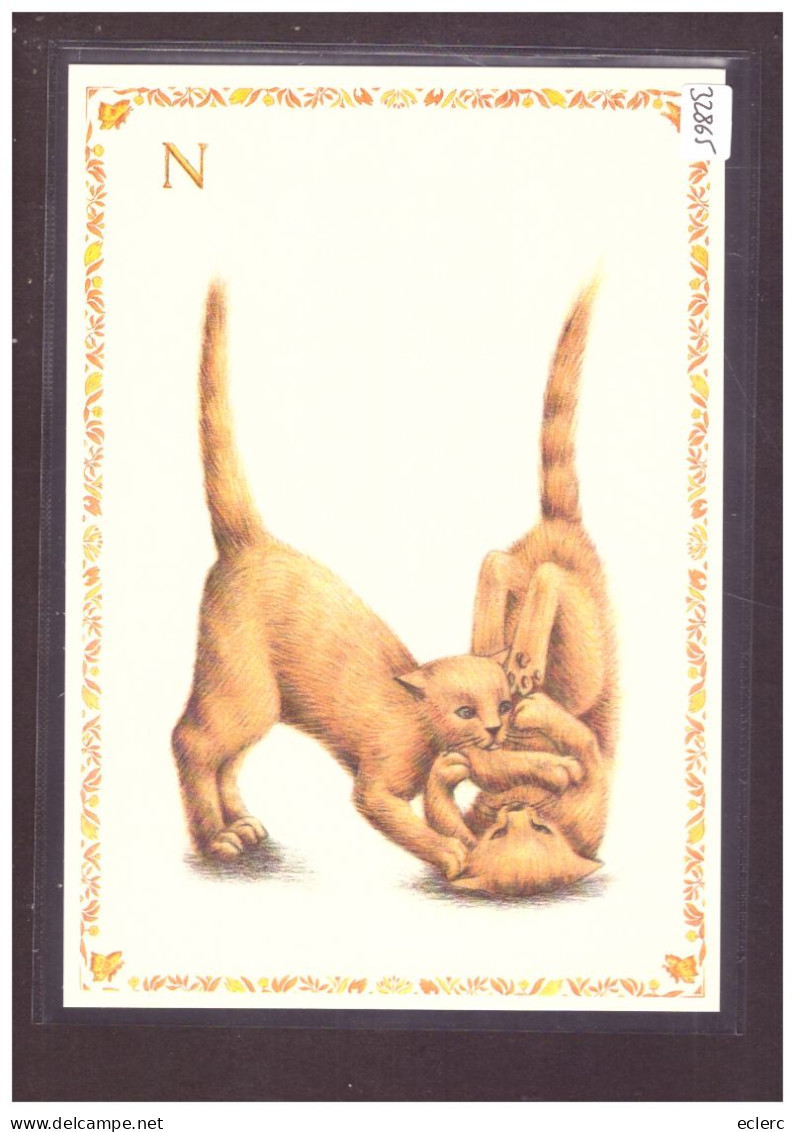 FORMAT 10x15cm - LE CHAT ALPHABET - DESSINS DE ARMELLE BOY - TB - Sammlungen & Sammellose