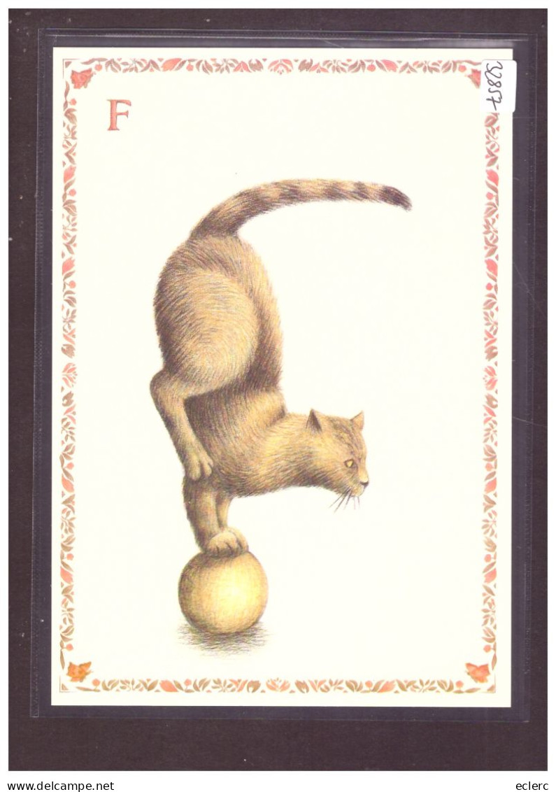 FORMAT 10x15cm - LE CHAT ALPHABET - DESSINS DE ARMELLE BOY - TB - Verzamelingen & Kavels